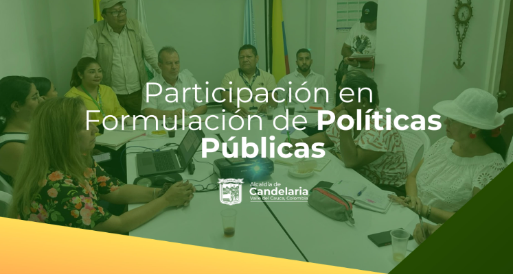 Participación en formulación de Politicas Publicas Participación en formulación de Politicas Publicas